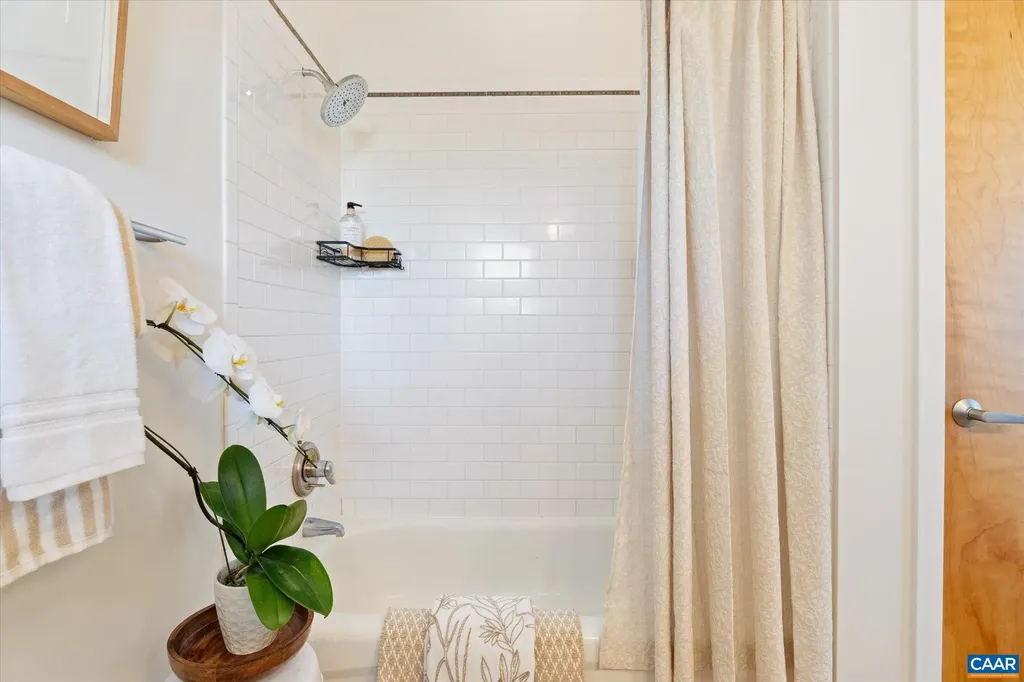 202 Douglas Avenue Charlottesville VA 22902