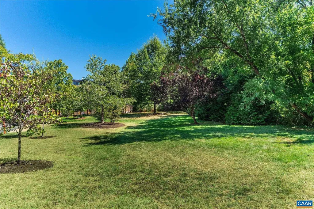 202 Douglas Avenue Charlottesville VA 22902