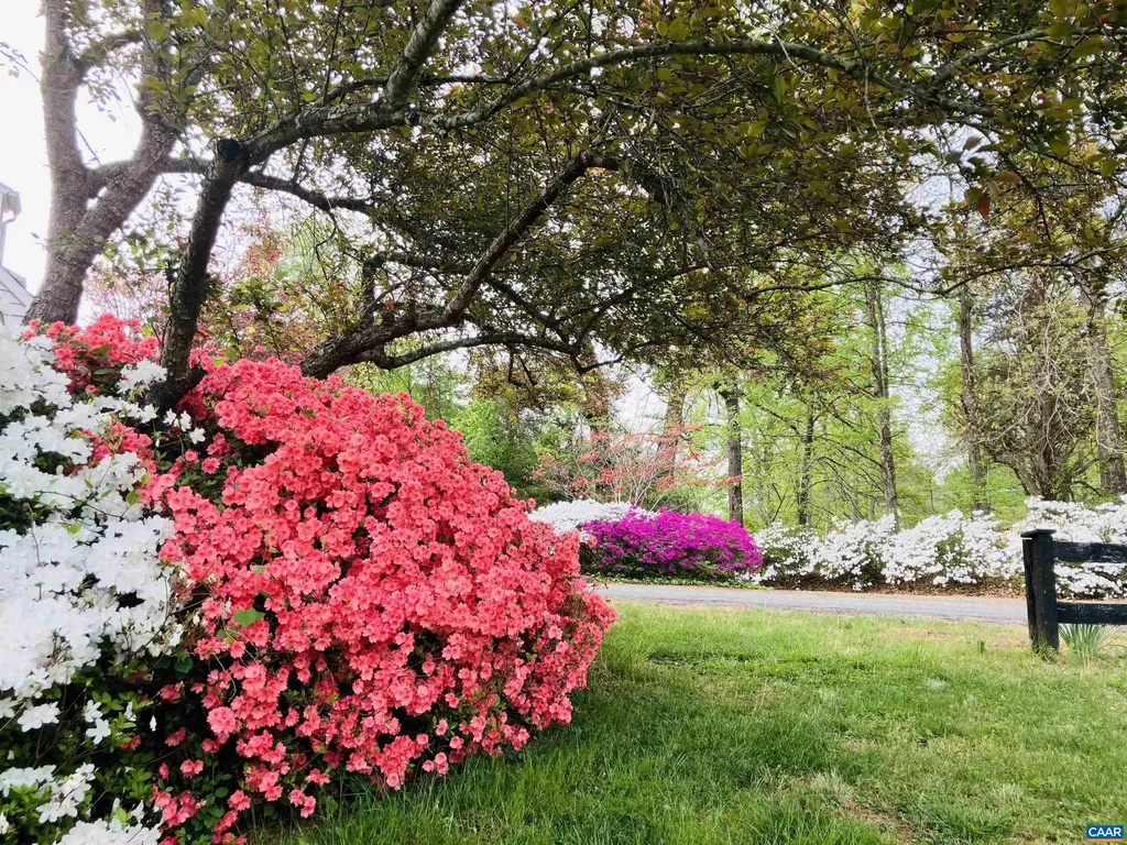 4051 Free Union Road Charlottesville VA 22901