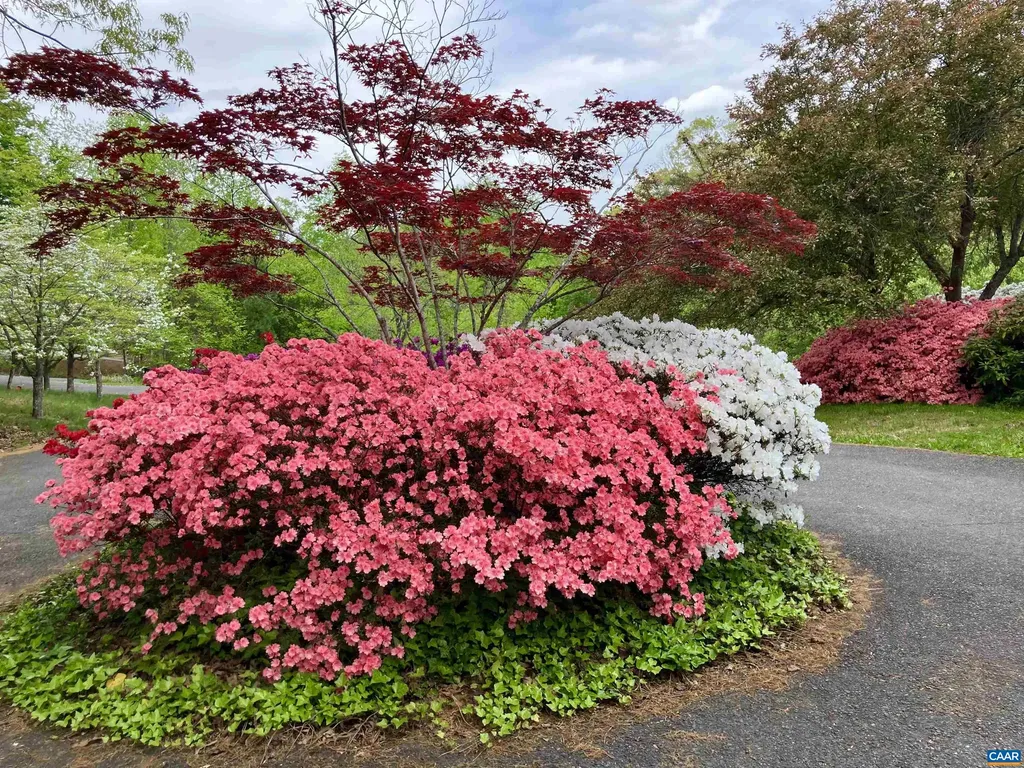 4051 Free Union Road Charlottesville VA 22901