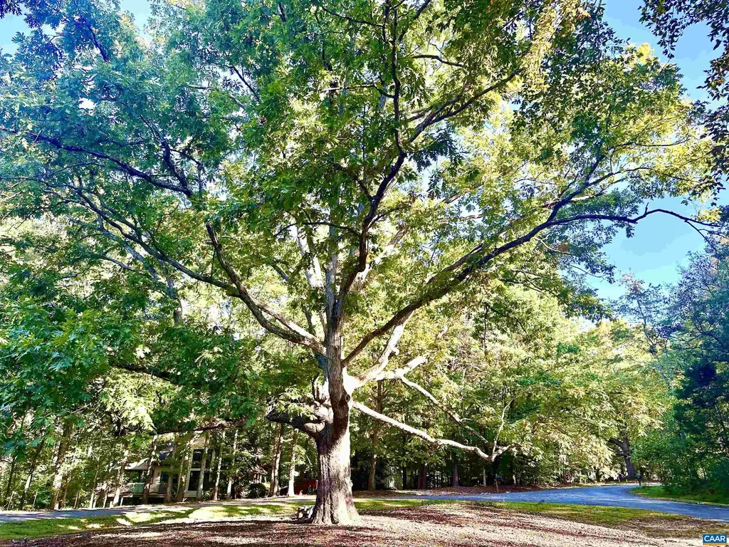 651 Big Oak Road Charlottesville VA 22903