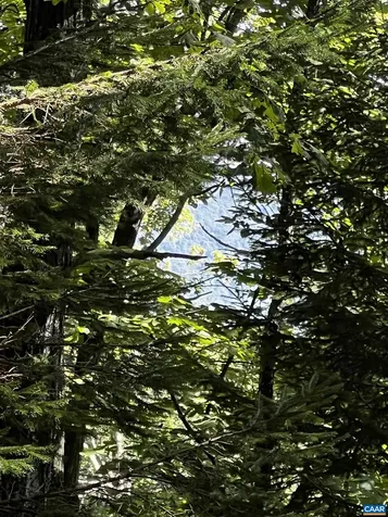 Tbd Shamokin Springs Trail Wintergreen Resort VA 22967