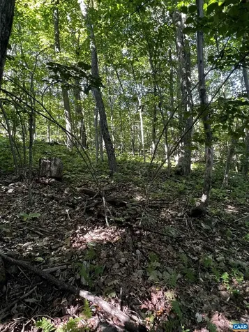 Tbd Shamokin Springs Trail Wintergreen Resort VA 22967