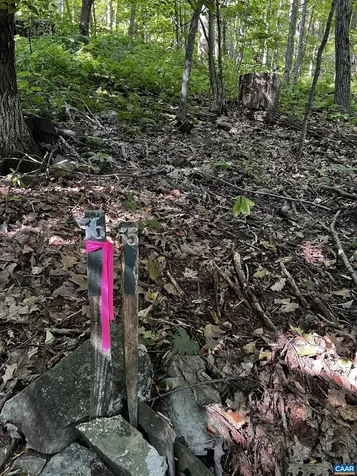 Tbd Shamokin Springs Trail Wintergreen Resort VA 22967