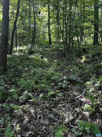 Tbd Shamokin Springs Trail Wintergreen Resort VA 22967