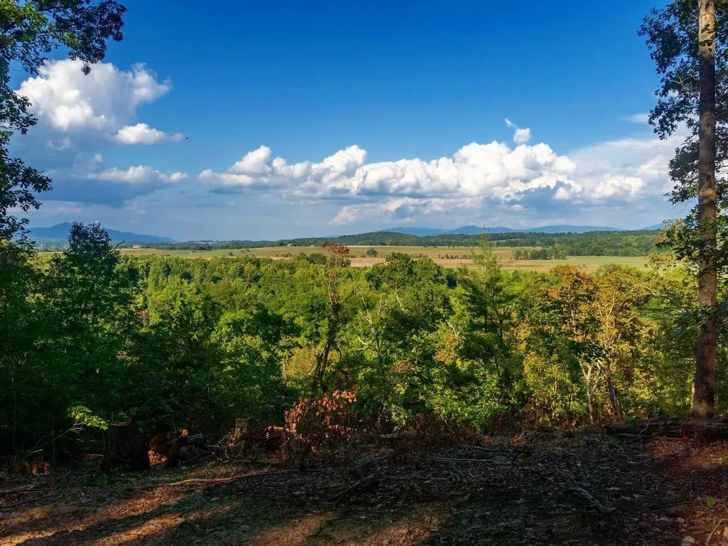 Lot 2 Shuler Lane Stanley VA 22851