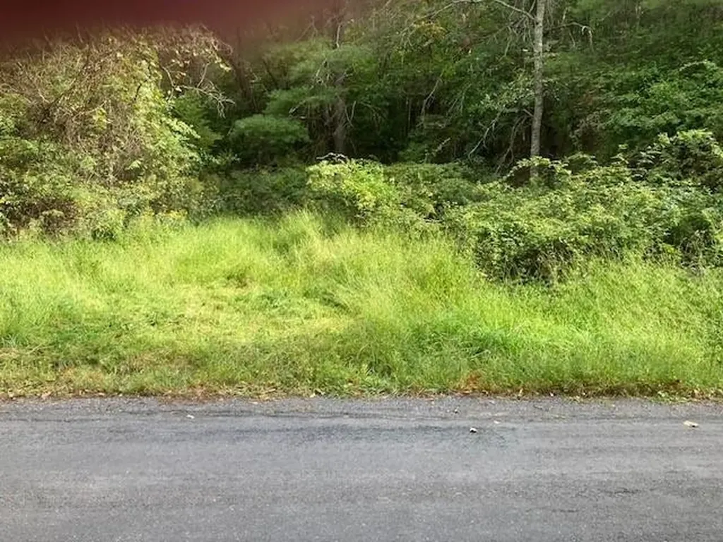 0 Jerome Road Mt Jackson VA 22842