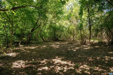 2062 East Side Highway Crimora VA 24431