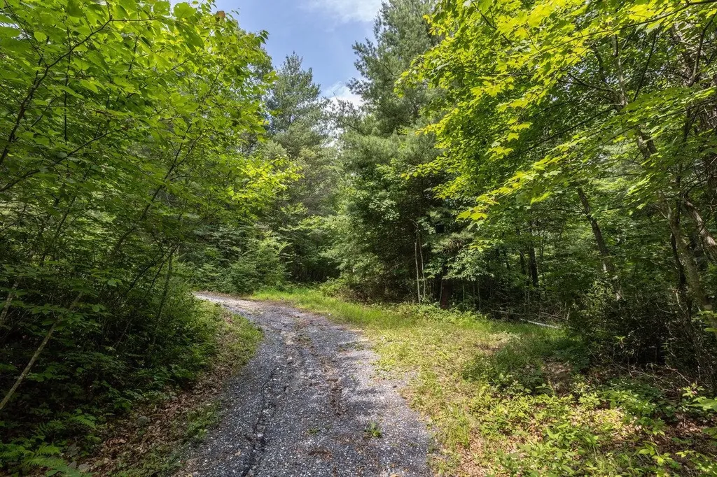 Old Resort Lane Hinton VA 22831