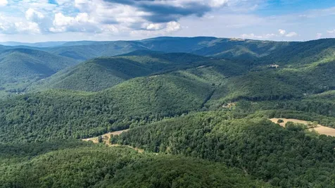 22590 Criders Road Criders VA 22820