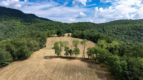22590 Criders Road Criders VA 22820