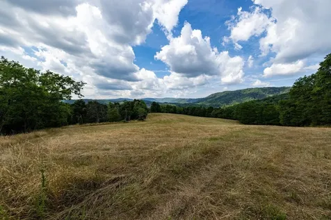 22590 Criders Road Criders VA 22820
