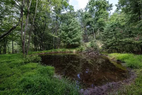 22590 Criders Road Criders VA 22820