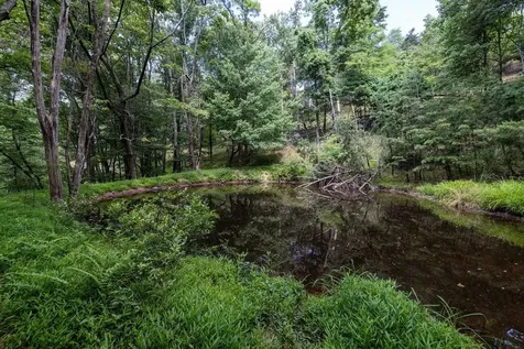 22590 Criders Road Criders VA 22820