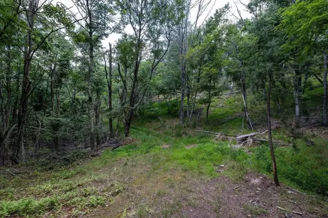 22590 Criders Road Criders VA 22820