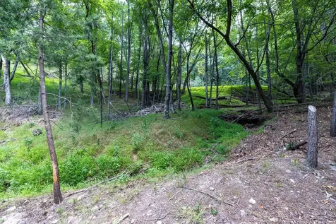 22590 Criders Road Criders VA 22820