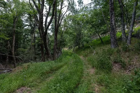 22590 Criders Road Criders VA 22820