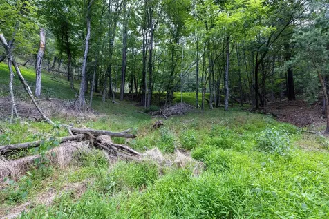 22590 Criders Road Criders VA 22820