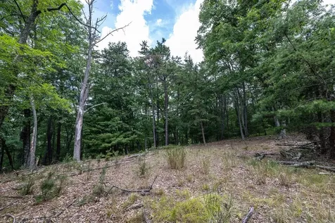 22590 Criders Road Criders VA 22820