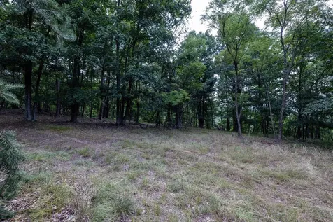 22590 Criders Road Criders VA 22820