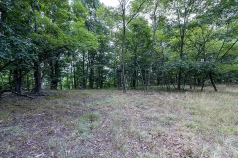 22590 Criders Road Criders VA 22820