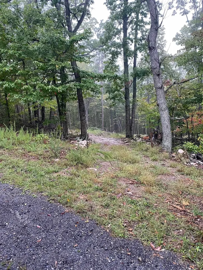 Tbd Panorama View Drive Stanley VA 22851