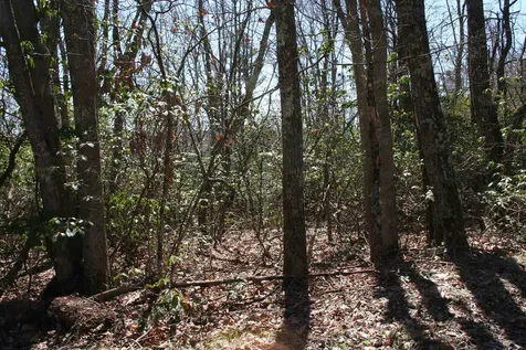 Tbd Summit Drive Summit Drive N Monterey VA 24465