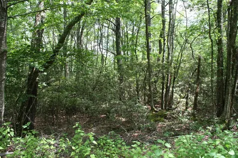 Tbd Summit Drive Summit Drive N Monterey VA 24465