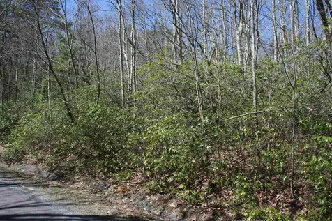 Tbd Summit Drive Summit Drive N Monterey VA 24465