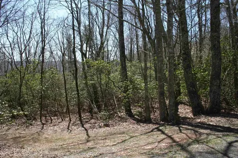 Tbd Summit Drive Summit Drive N Monterey VA 24465