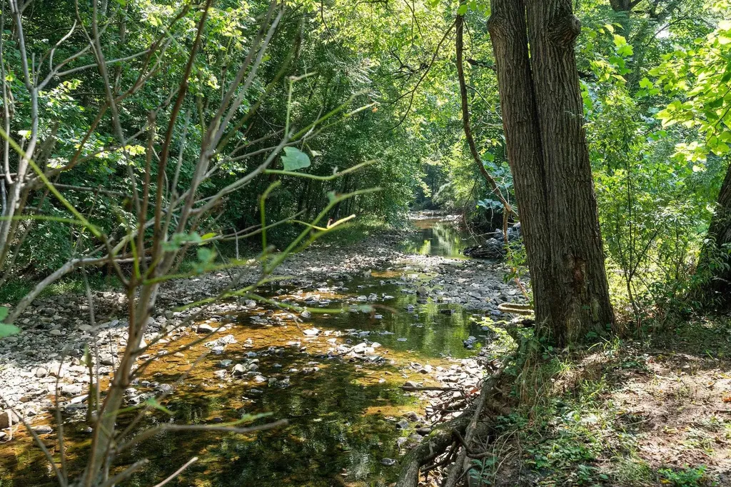 Tbd Hankey Mountain Highway Churchville VA 24421