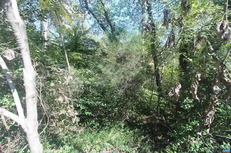 TBD-2 Toco Hill North Garden VA 22959
