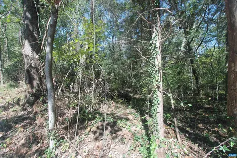 Tbd 1 Toco Hill North Garden VA 22959