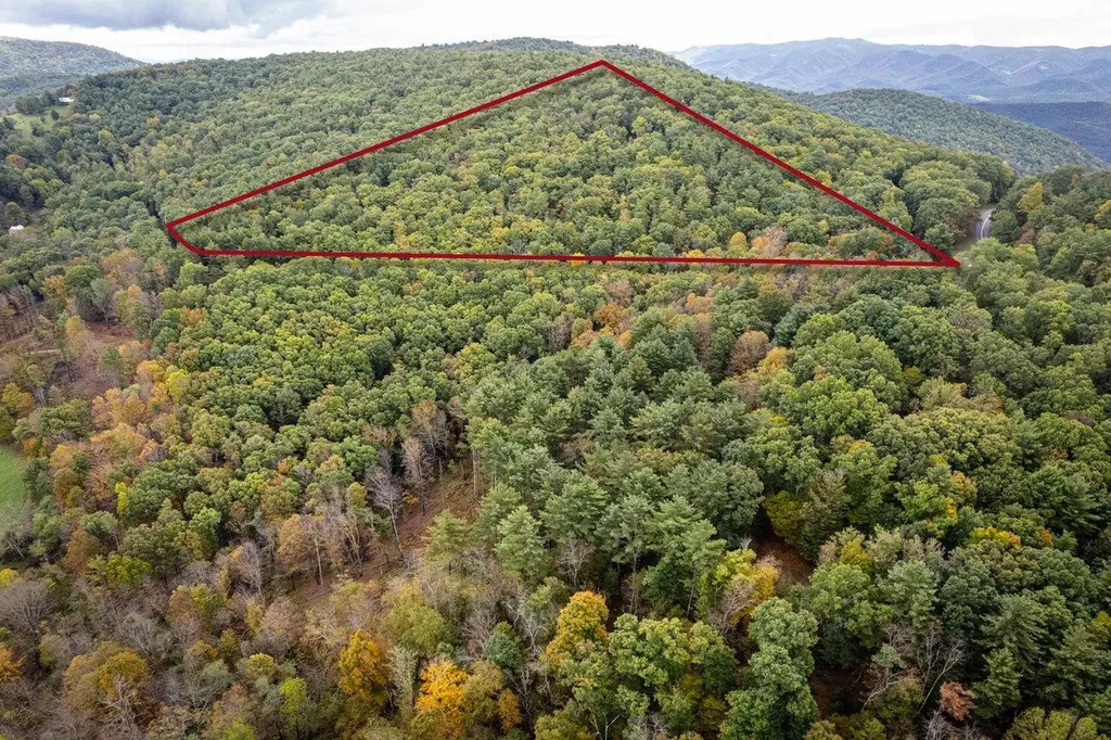 0-22.72 Ac Dry Run Road Sugar Grove WV 26815