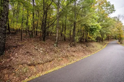 0-22.72 Ac Dry Run Road Sugar Grove WV 26815
