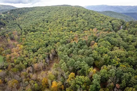 0-22.72 Ac Dry Run Road Sugar Grove WV 26815