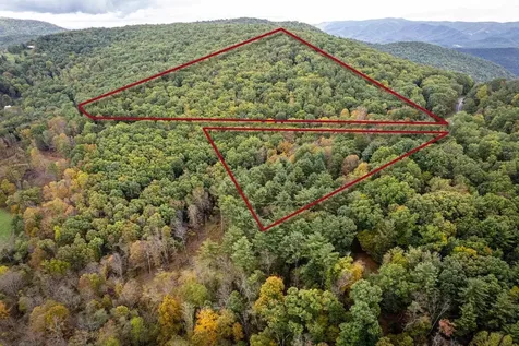 0-22.72 Ac Dry Run Road Sugar Grove WV 26815