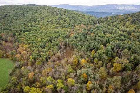 0-22.72 Ac Dry Run Road Sugar Grove WV 26815
