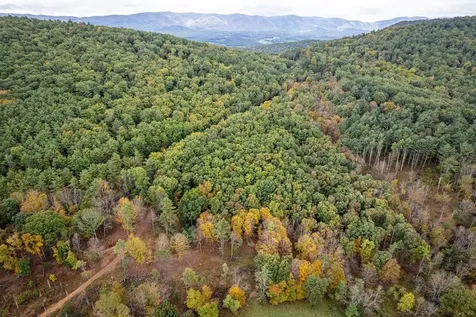 0-22.72 Ac Dry Run Road Sugar Grove WV 26815