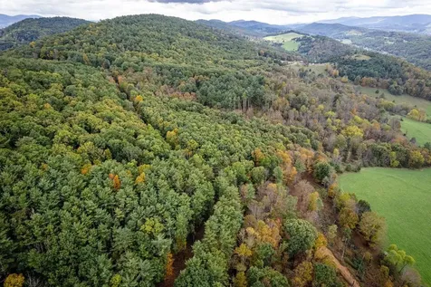 0-22.72 Ac Dry Run Road Sugar Grove WV 26815