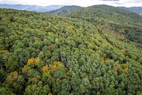 0-22.72 Ac Dry Run Road Sugar Grove WV 26815