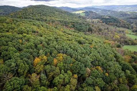 0-22.72 Ac Dry Run Road Sugar Grove WV 26815