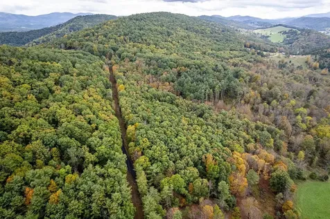 0-22.72 Ac Dry Run Road Sugar Grove WV 26815