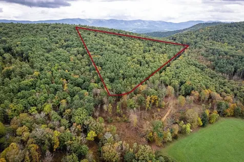 0-22.72 Ac Dry Run Road Sugar Grove WV 26815