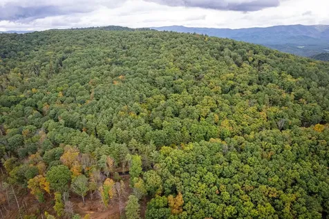 0-22.72 Ac Dry Run Road Sugar Grove WV 26815