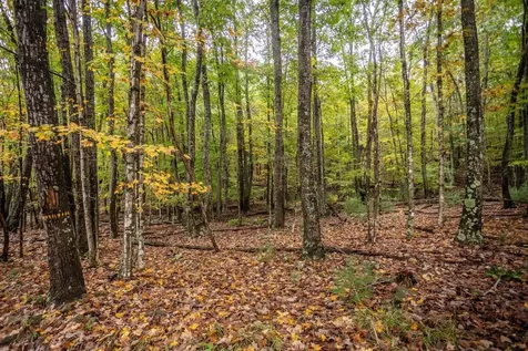 0-22.72 Ac Dry Run Road Sugar Grove WV 26815