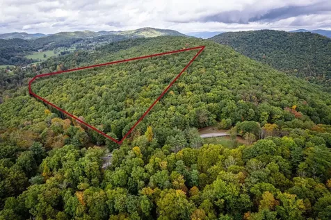 0-22.72 Ac Dry Run Road Sugar Grove WV 26815