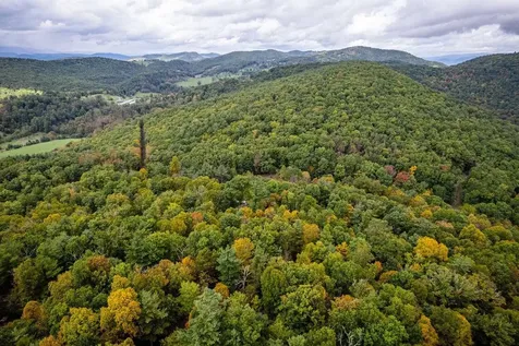 0-22.72 Ac Dry Run Road Sugar Grove WV 26815