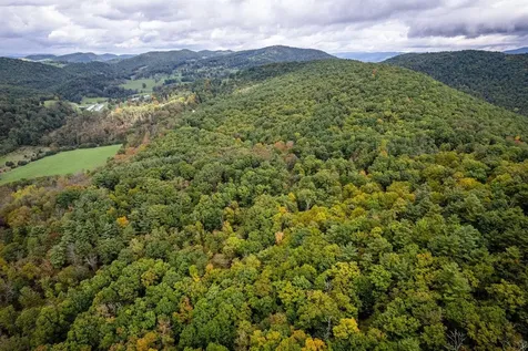 0-22.72 Ac Dry Run Road Sugar Grove WV 26815