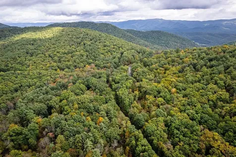 0-22.72 Ac Dry Run Road Sugar Grove WV 26815